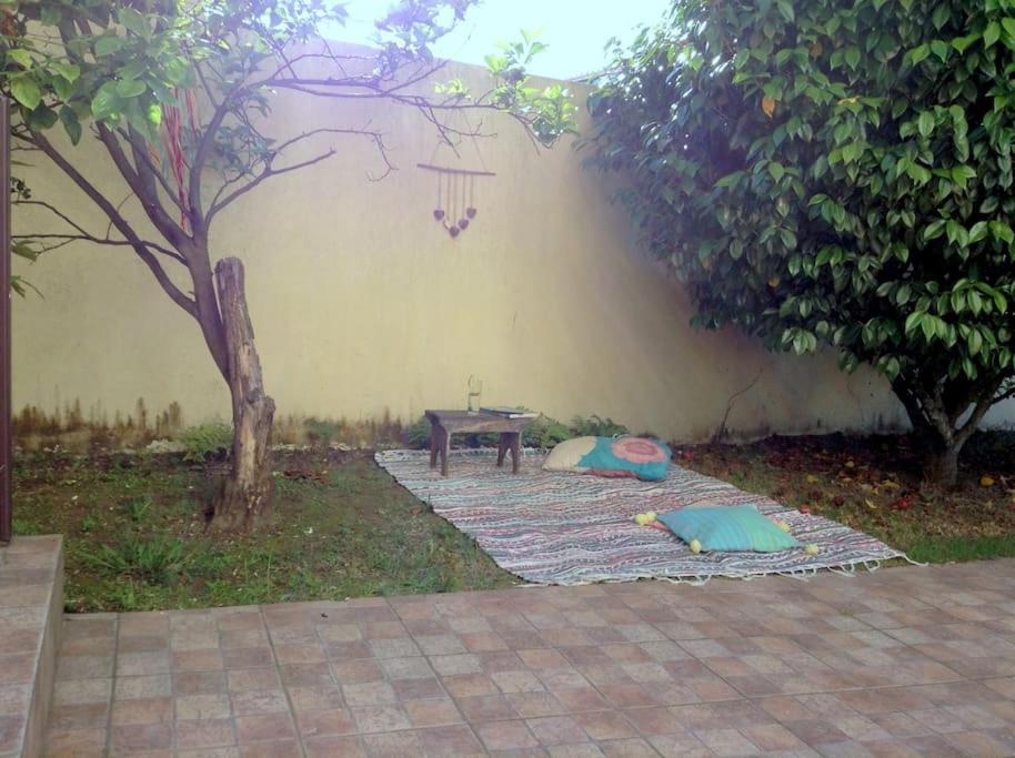 Myninho Villa Vila Nova de Gaia Kültér fotó